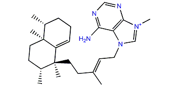 Agelasine L